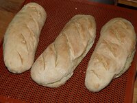 24_Baguettes_gebacken.jpg 24_Baguettes_gebacken.jpg