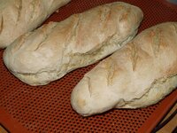 25_Baguettes_Seitenansicht.jpg 25_Baguettes_Seitenansicht.jpg