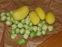 01_Kartoffeln+Rosenkohl.jpg 01_Kartoffeln+Rosenkohl.jpg