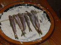 04_Stinte_werden_meliert.jpg 04_Stinte_werden_meliert.jpg