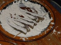05_zweite_Seite.jpg 05_zweite_Seite.jpg