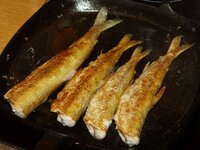 09_Stinte_gewendet.jpg 09_Stinte_gewendet.jpg
