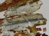 15_Anschnitt.jpg 15_Anschnitt.jpg