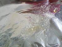 K1600_20180326_184631.JPG K1600_20180326_184631.JPG