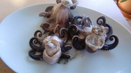 Pulpo 01.08.2013 (12).JPG