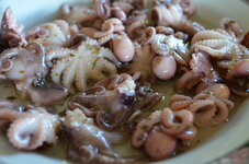 Pulposalat 5.JPG Pulposalat 5.JPG