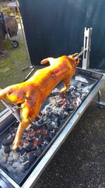 20180329_120422.jpg