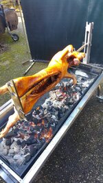 20180329_120413.jpg