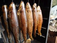 05_Fische_fertig1.jpg 05_Fische_fertig1.jpg