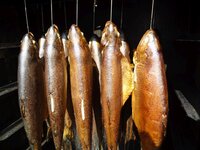 06_Fische_fertig2.jpg 06_Fische_fertig2.jpg