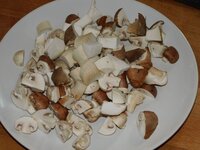 02_Pilze_gewürfelt.jpg 02_Pilze_gewürfelt.jpg