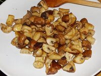 10_Nach_dem_Anbraten_aus_der_Pfanne_genommen.jpg 10_Nach_dem_Anbraten_aus_der_Pfanne_genommen.jpg