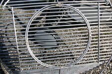 5-ring-jpg.1692304.jpg 5-ring-jpg.1692304.jpg