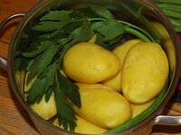03_Kartoffeln_mit_Liebstöckel.jpg 03_Kartoffeln_mit_Liebstöckel.jpg