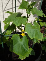 20180424_162135.jpg