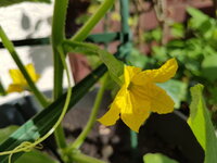20180424_162151.jpg
