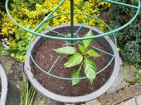K1600_20180430_174238.JPG