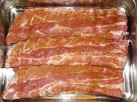 02_Ribs_gepudert.jpg 02_Ribs_gepudert.jpg