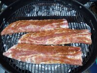 03_Ribs_in_der_Kugel.jpg 03_Ribs_in_der_Kugel.jpg