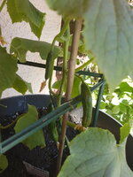 20180506_162209.jpg