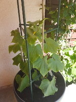 20180506_162235.jpg