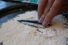 6-in-mehl-wenden-jpg.jpg 6-in-mehl-wenden-jpg.jpg