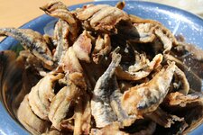 9-fertig-frittiert-jpg.jpg 9-fertig-frittiert-jpg.jpg
