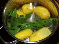 02_Kartoffeln.jpg 02_Kartoffeln.jpg