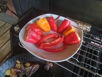 IMG_20180429_192350.jpg