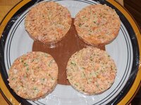 05_Lachspatties_geformt.jpg 05_Lachspatties_geformt.jpg