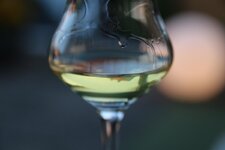 17-limoncello-jpg.jpg 17-limoncello-jpg.jpg