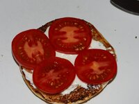 09_Burgerbau.jpg 09_Burgerbau.jpg