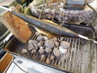 06_Makrele_grillen.jpg 06_Makrele_grillen.jpg