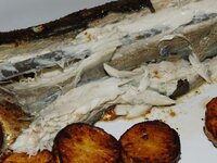 08_Anschnitt.jpg 08_Anschnitt.jpg