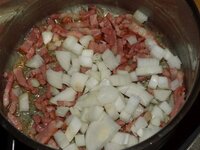 13_Zwiebel_dazu.jpg 13_Zwiebel_dazu.jpg