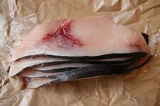 10-schwertfisch-jpg.jpg 10-schwertfisch-jpg.jpg
