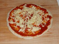 09_geriebener_Mozzarella.jpg 09_geriebener_Mozzarella.jpg