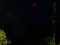 Blutmond 2-27.07.2018.jpg