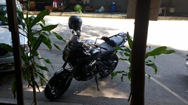 20170311_110846.jpg 20170311_110846.jpg