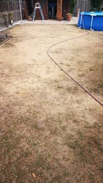 IMG_20180805_111956.jpg