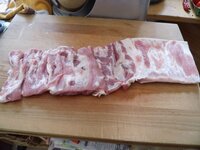 03_zweimal_aufgeschnitten.jpg 03_zweimal_aufgeschnitten.jpg