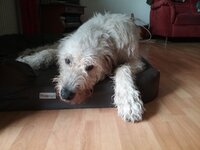 20180808_103818.jpg 20180808_103818.jpg