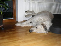 CIMG0020.JPG