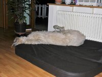 CIMG0021 (2).JPG