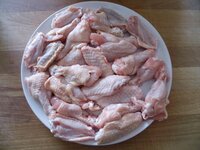 02_Flügel_im_Gelenk_geteilt.jpg 02_Flügel_im_Gelenk_geteilt.jpg