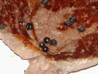 10_Detail_Fleisch.jpg 10_Detail_Fleisch.jpg