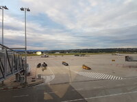 20180827_071216.jpg