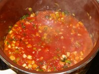04_selbstgemachtes_Tomatenpüree_dazu.jpg 04_selbstgemachtes_Tomatenpüree_dazu.jpg