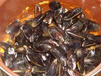 05_Dann_die_Muscheln.jpg 05_Dann_die_Muscheln.jpg
