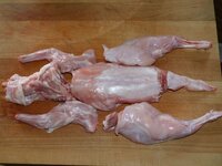 04_Kaninchen_zerlegt.jpg 04_Kaninchen_zerlegt.jpg
